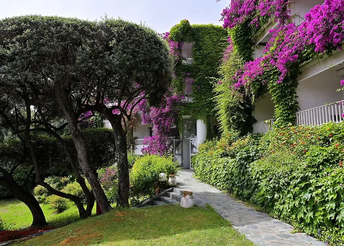 Hôtel Pietracap